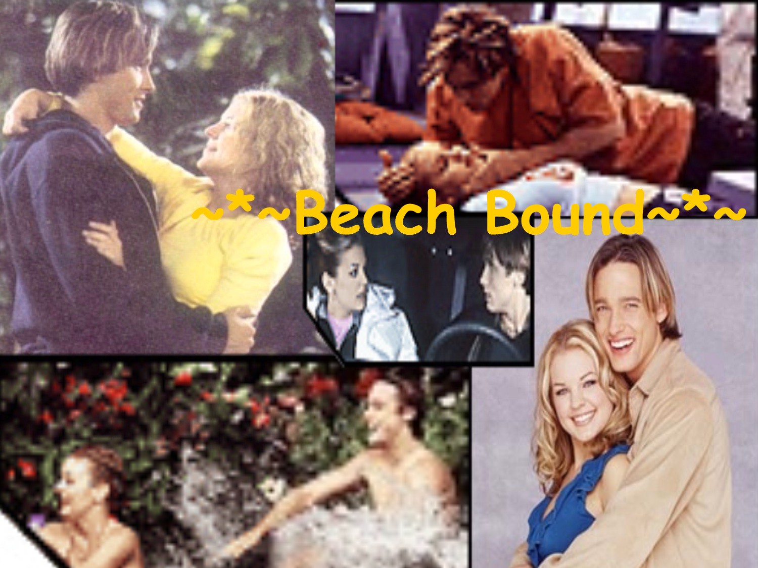 beachboundbanner.jpg